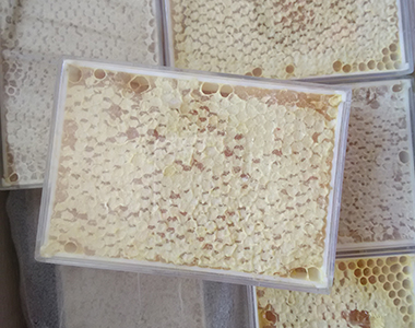 天然蜂巢蜜批發(fā) 蜂產(chǎn)品招商代理可預(yù)定貼牌
