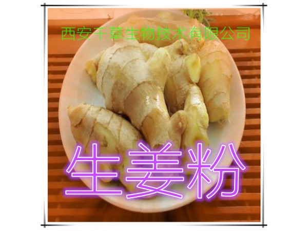 枸杞子提取物 全水溶 藥食同源 西安千草現(xiàn)貨