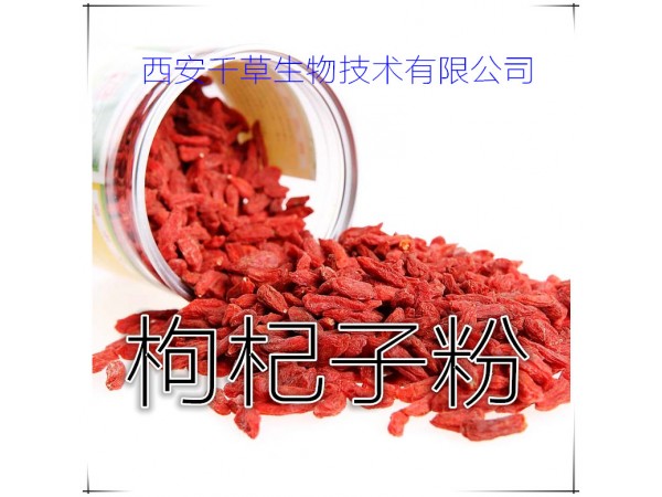 香薷提取物 全水溶 藥食同源 西安千草現(xiàn)貨