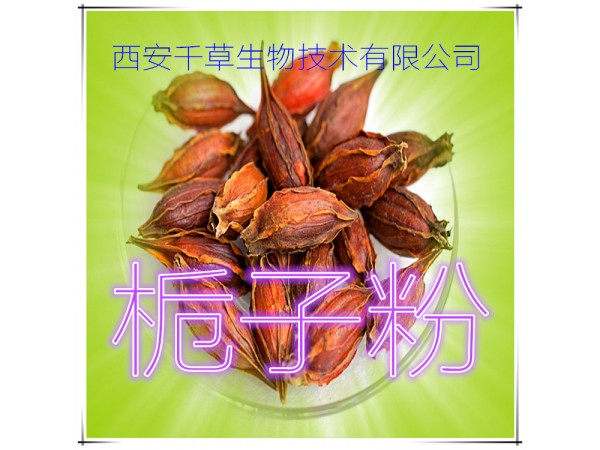 核桃仁提取物 全水溶 藥食同源 西安千草現(xiàn)貨