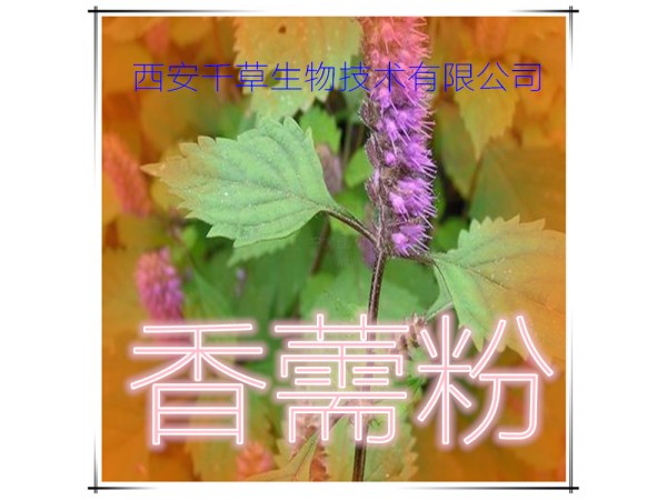 桔紅提取物 全水溶 藥食同源 西安千草現(xiàn)貨