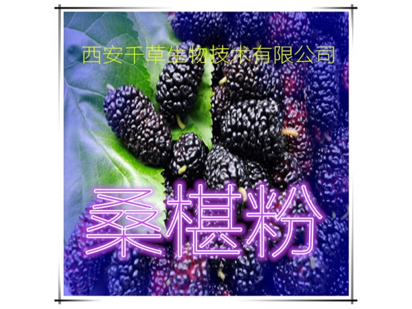 萊菔子提取物 全水溶 藥食同源 西安千草現(xiàn)貨