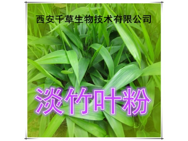 紫蘇籽提取物 全水溶 藥食同源 西安千草現(xiàn)貨