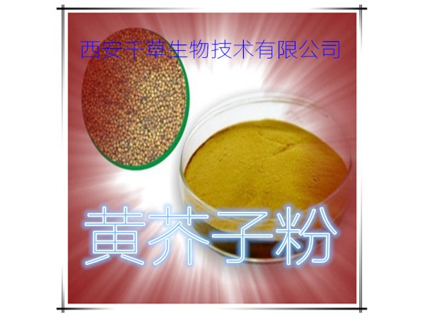 槐米提取物 全水溶 藥食同源 西安千草現(xiàn)貨