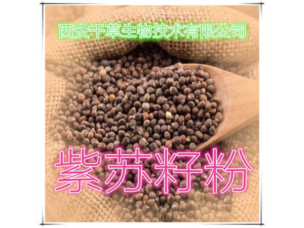 槐米提取物 全水溶 藥食同源 西安千草現(xiàn)貨
