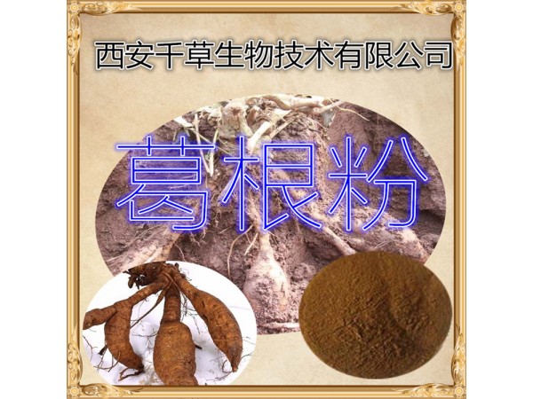 葛根提取物 全水溶 藥食同源 西安千草現(xiàn)貨