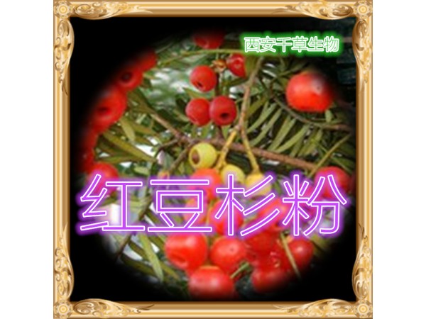 圓柏浸膏粉 藥食同源 西安千草現(xiàn)貨