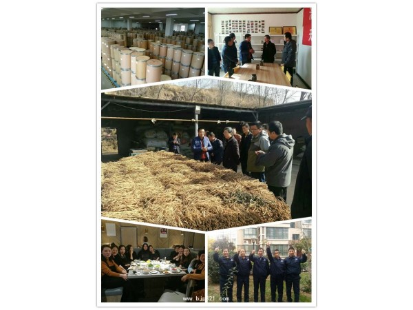 荷葉提取物荷葉堿熱銷單品