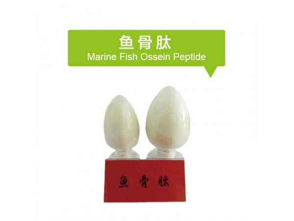魚骨肽粉魚骨低聚肽小分子肽