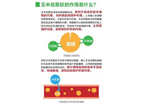 玉米低聚肽粉新食品原料