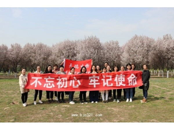 玻璃苣提取物廠家熱銷