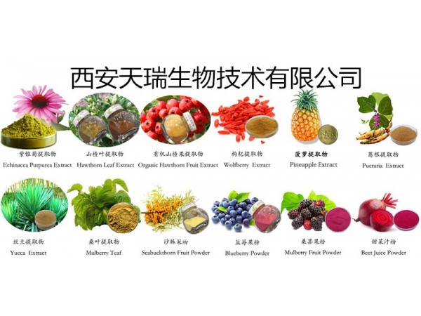 天瑞 大青葉提取物 現(xiàn)貨包郵