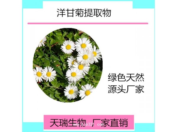 天瑞 洋甘菊浸膏粉廠家