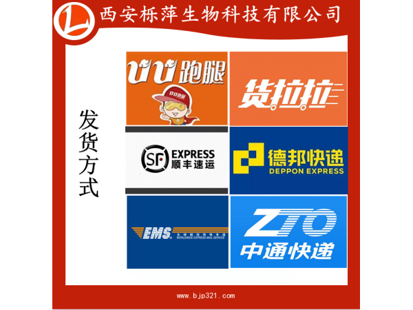 蒲公英提取物蒲公英黃酮5%